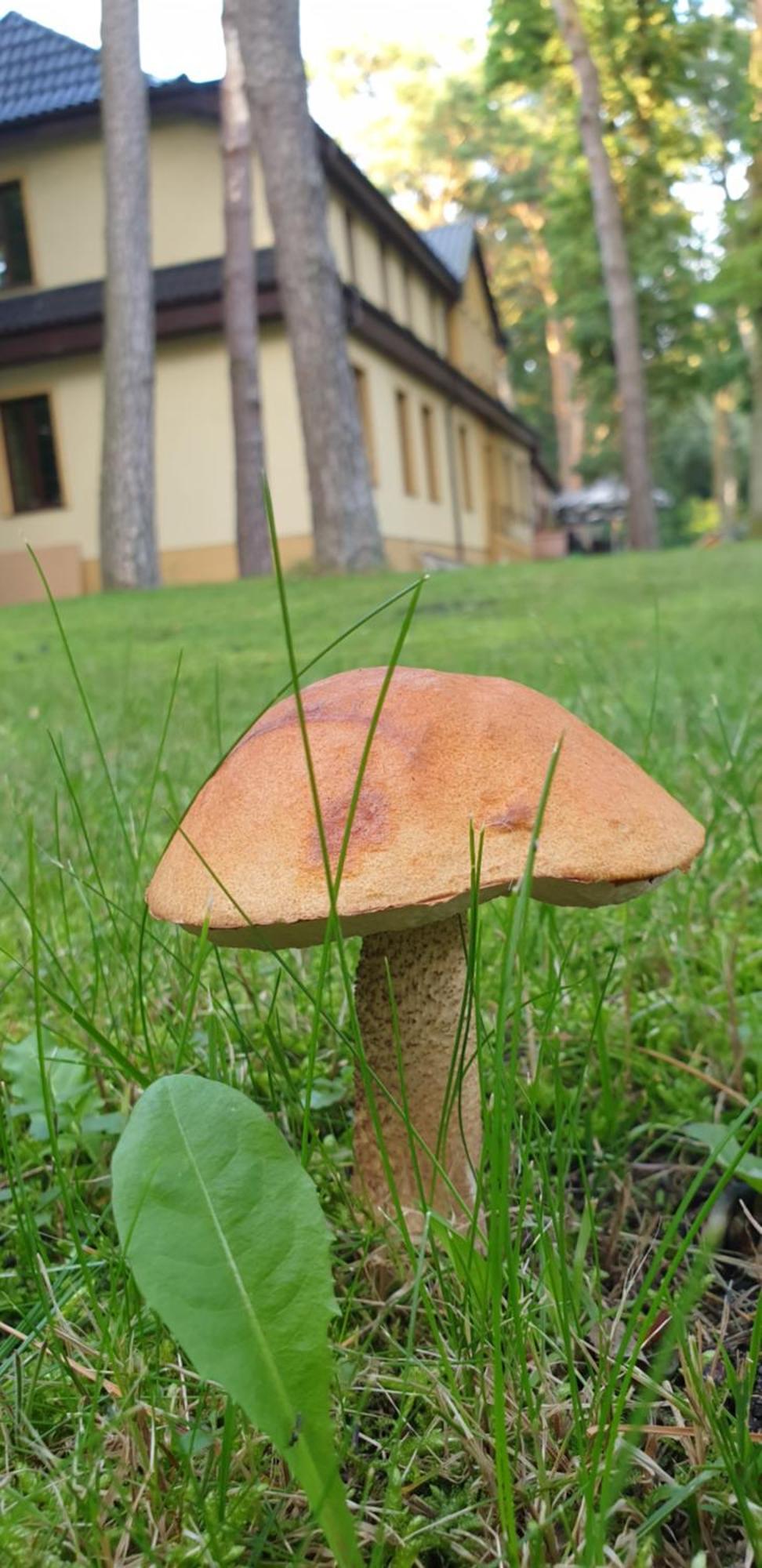 Villa Toskana Pogorzelica  Exterior foto